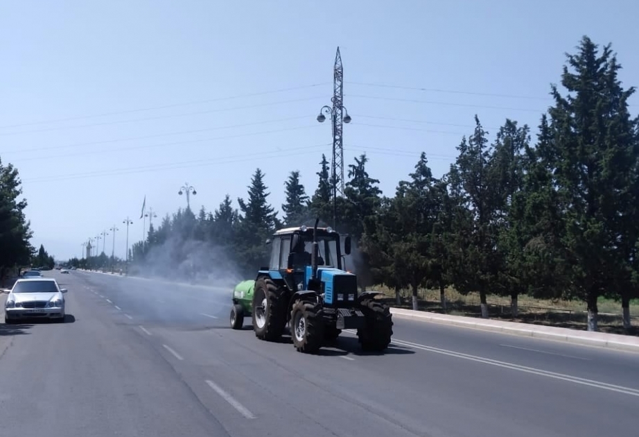 Samuxda koronavirus infeksiyasına qarşı növbəti dezinfeksiya işləri aparılıb