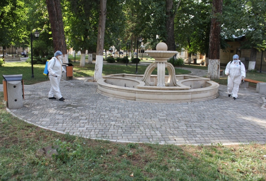 Göygöldə dezinfeksiya tədbirləri davam etdirilir