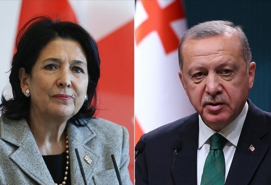 رئيسا تركيا وجورجيا يبحثان الوضع في المنطقة