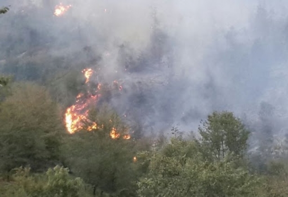 الطوارئ: اندلاع حريق في منطقة جبلية في محافظة طاووس