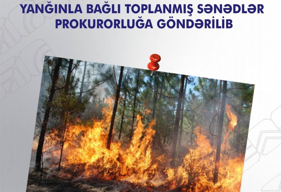 Yaşıllıq ərazidə baş verən yanğınla bağlı toplanmış sənədlər prokurorluğa göndərilib