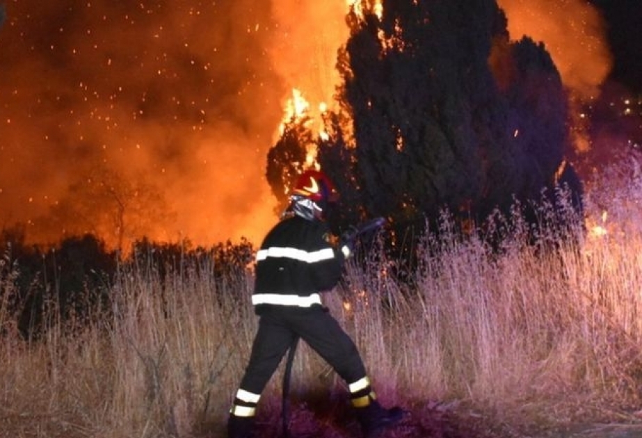 Cambio climático: la preocupante ola de calor que ha hecho que Sicilia alcance 48,8 ºC, posible récord de temperatura en Europa
