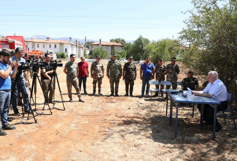 Los incendios forestales en la provincia turca de Mugla han quedado completamente extinguidos