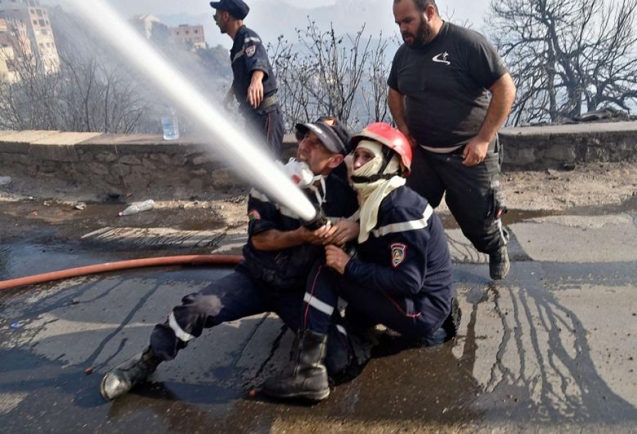 Əlcəzairdə meşə yanğınları nəticəsində ölənlərin sayı 71 nəfərə çatıb