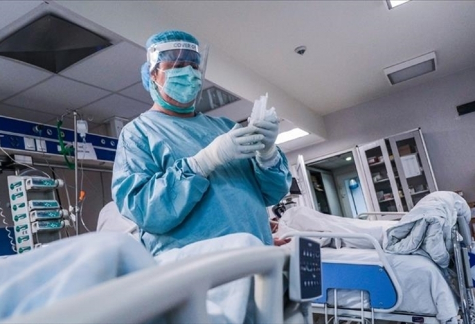 Ekspert: Gürcüstanda epidemioloji vəziyyət çox gərgindir və həyəcan doğurur