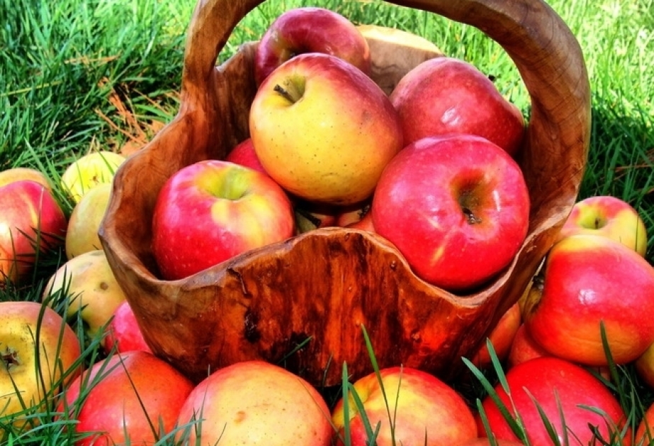 Les exportations azerbaïdjanaises de pommes ont augmenté