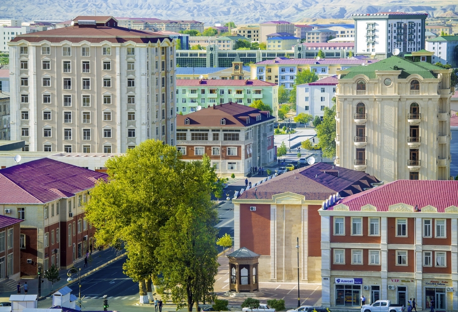 Tarixinin ən parlaq dövrünü yaşayan, tərəqqisi ilə zirvələr fəth edən Naxçıvan - İCMAL