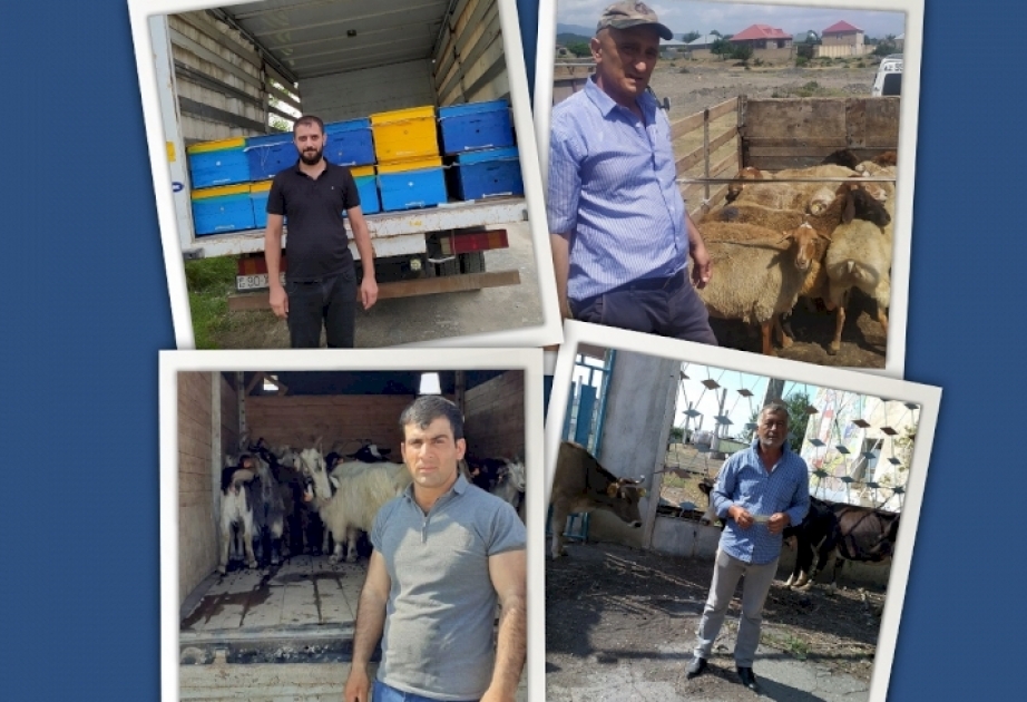 Ötən həftə özünüməşğulluq proqramı çərçivəsində daha 805 şəxsə aktivlər verilib