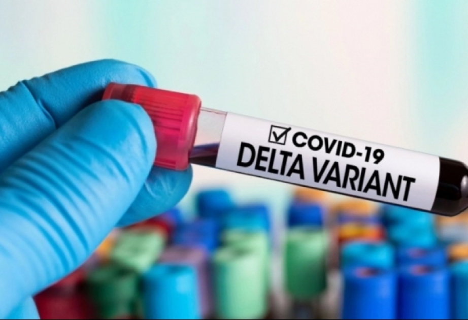 Həkim-infeksionist: “Delta” ştamının klinik gedişatı vətəndaşlar arasında çaşqınlıq yaradır