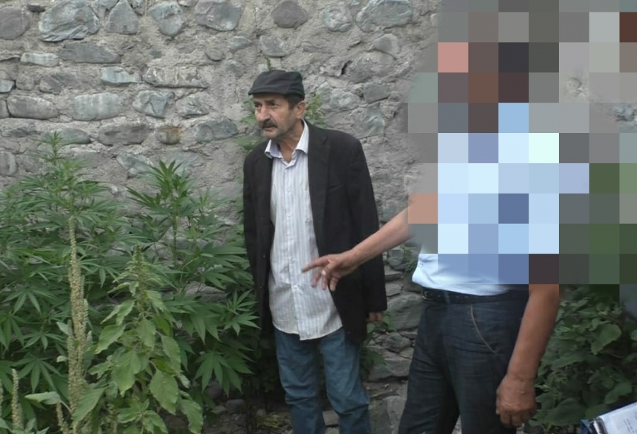 Qaxda evinin həyətində narkotik becərən şəxs tutulub
