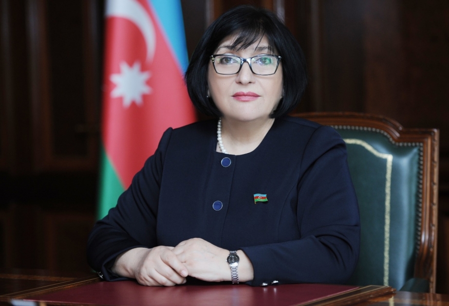 Milli Məclisin sədri Sahibə Qafarova Azərbaycanın bir sıra ölkələrdəki səfirləri ilə görüşüb