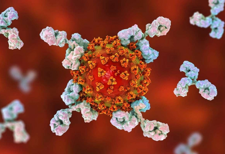 Aumenta el número de países y territorios en los que circula la variante delta del coronavirus