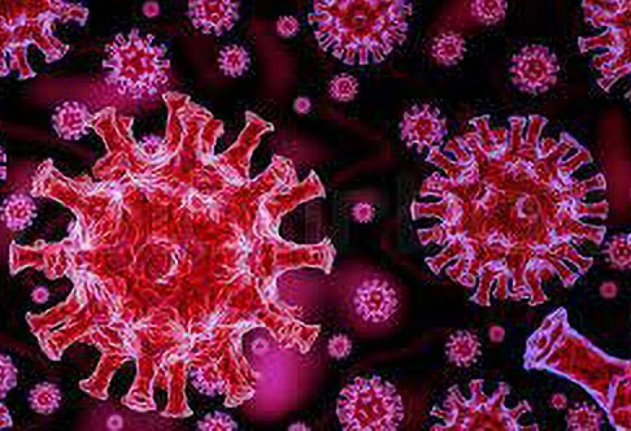 Ölkəmizdə koronavirusa yoluxma hallarına daha çox 30-39 yaş arasında rast gəlinir