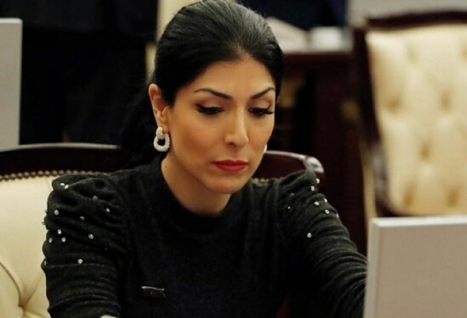 Nigar Arpadarai: Erməni hərbi cinayətkarlarının məsuliyyətə cəlb olunması üçün işləri davam etdirmək lazımdır