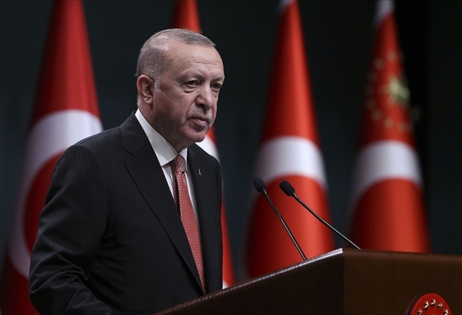 Prezident Rəcəb Tayyib Ərdoğan: Türkiyədəki meşə yanğınları 150 min hektar ərazini əhatə edib