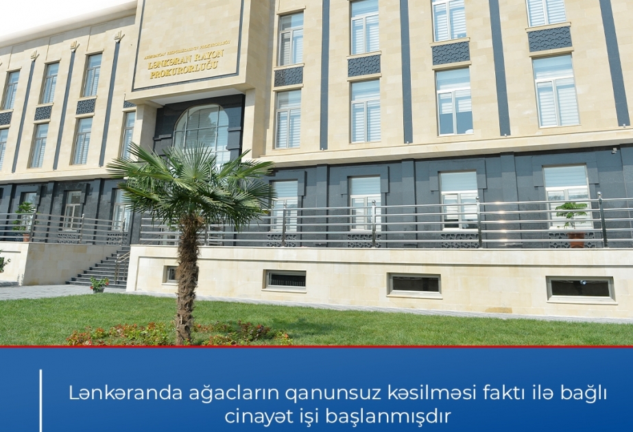 Lənkəranda ağacların qanunsuz kəsilməsi ilə bağlı cinayət işi başlanıb