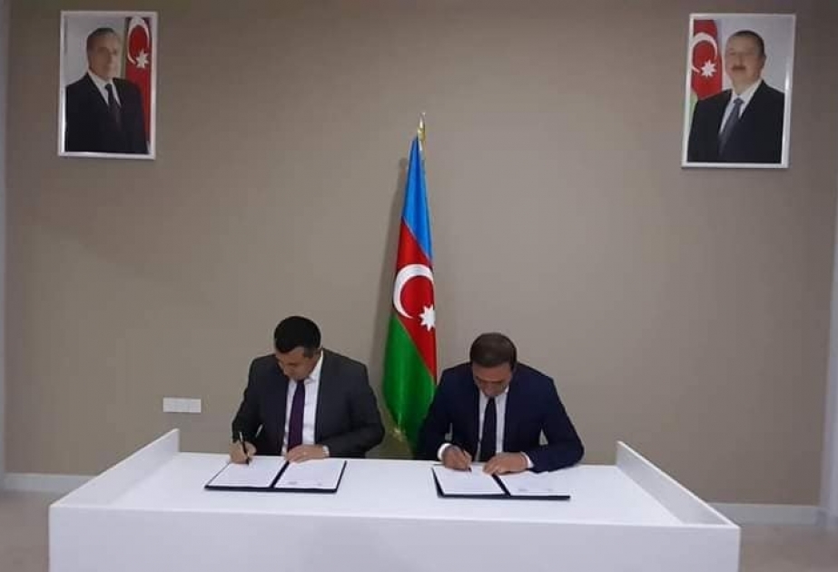 Lənkəranda könüllülük fəaliyyəti ilə bağlı niyyət protokolu imzalanıb