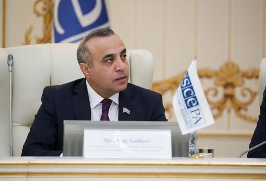 Azay Quliyev ATƏT PA-nın Cənub-Şərqi Avropa üzrə xüsusi nümayəndəsi təyin olunub