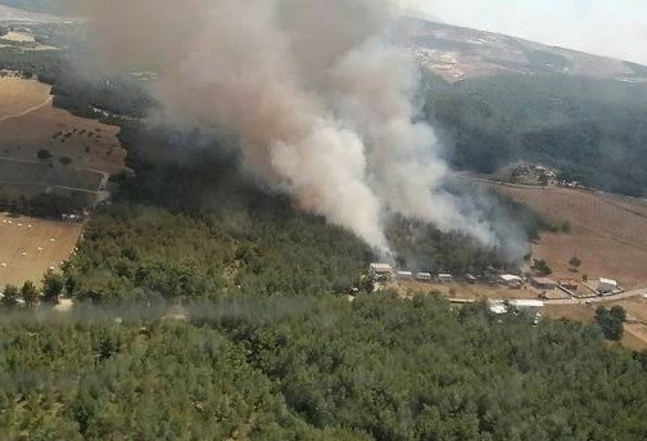 نشبت حرائق في محافظة إزمير بتركيا