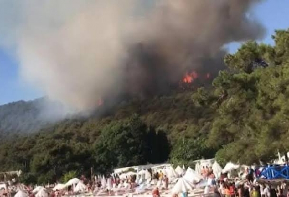 Heybəli adasında baş verən yanğın nəzarət altına alınıb