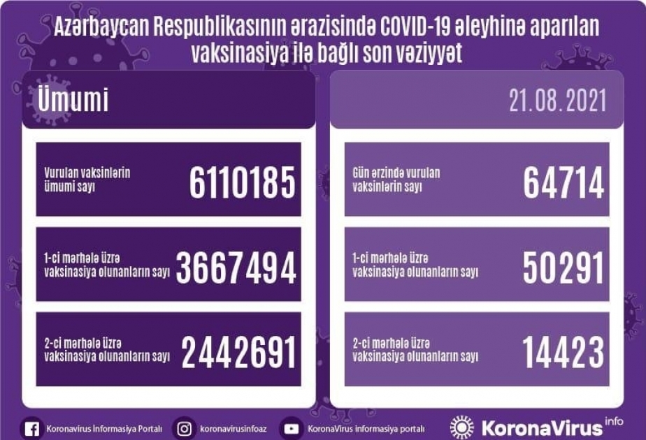 21 августа введено около 65 тысяч доз вакцин против COVID-19