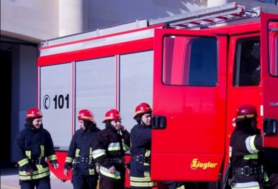الطوارئ: عمليات اخماد الحرائق الناشبة في منطقة غابية جبلية بمقاطعة ليريك مستمرة