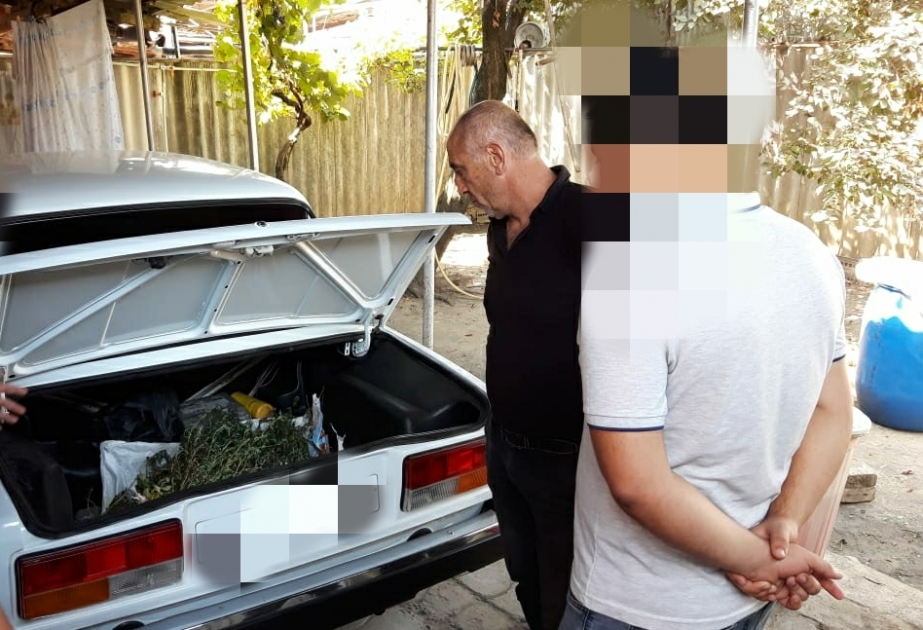 Zaqatalada keçmiş məhkumdan dörd kiloqram marixuana götürülüb