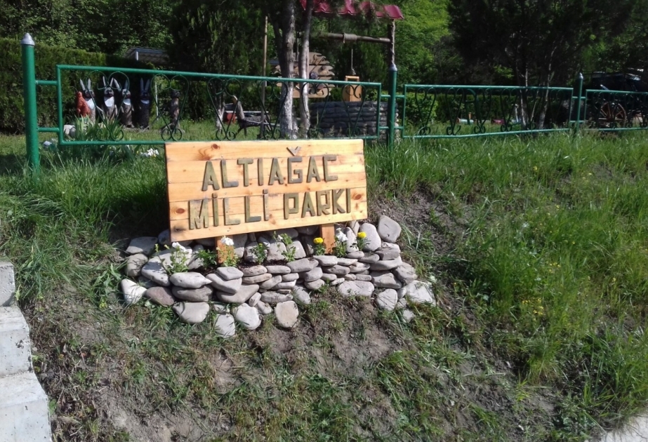 Altıağac Milli Parkında “Açıq qapı” günü keçiriləcək