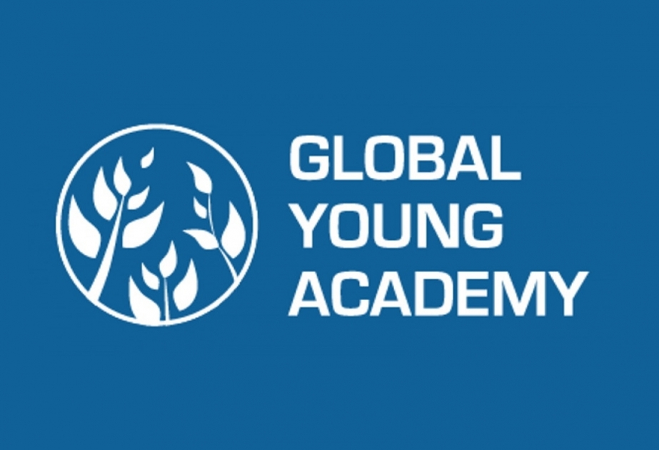 Young academy