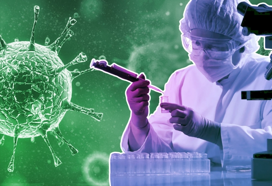 В ВОЗ не обнаружили роста циркуляции выявленного в ЮАР нового штамма коронавируса