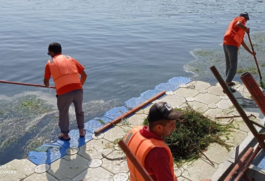 Çayın hövzəsi tullantılardan təmizlənib