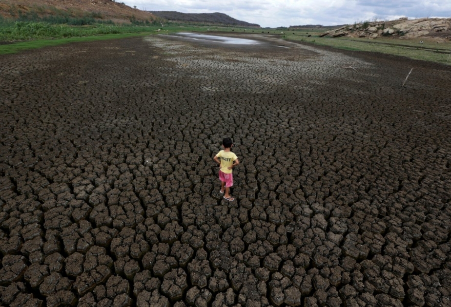 В Бразилии продолжается сильнейшая засуха