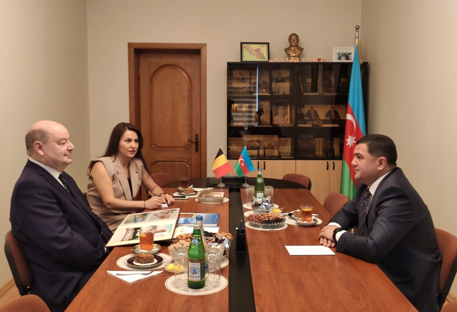 Naxçıvanın Bakıdakı daimi nümayəndəliyində Belçikanın Azərbaycandakı səfiri ilə görüş keçirilib