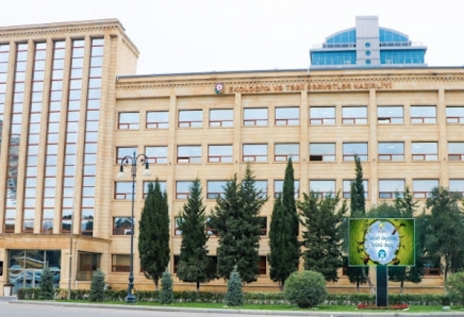 Lənkəranda ağacları zədələyən şəxs cəzalandırılıb