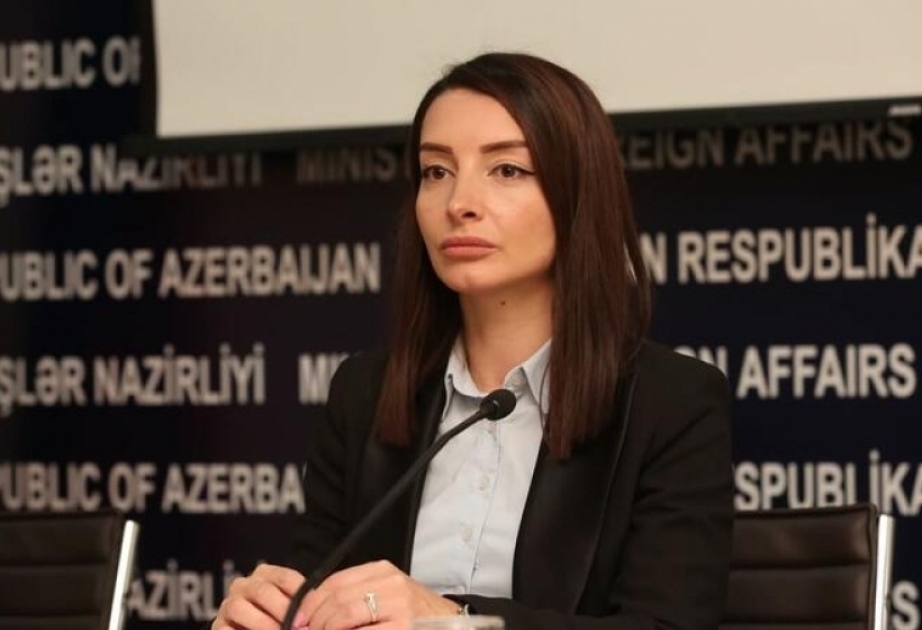 Лейла Абдуллаева: Азербайджан выразил протест России по дипломатическим каналам