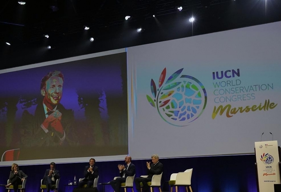 Jefa de la UNESCO defiende duplicar las áreas protegidas del mundo hasta 2030