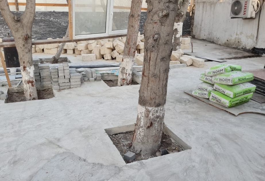 Tikinti aparılan ərazidəki ağaclar sayılaraq nəzarətə götürülüb