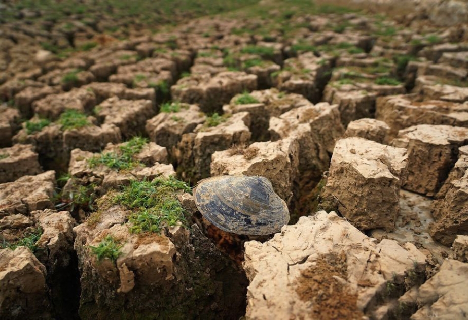 Продолжающаяся засуха в провинции Ганьсу повлияла на жизнь более чем 1,51 миллиона человек