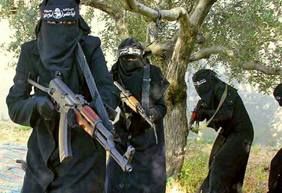 Шведская полиция задержала двух военных преступниц, связанных с Исламским государством в Сирии