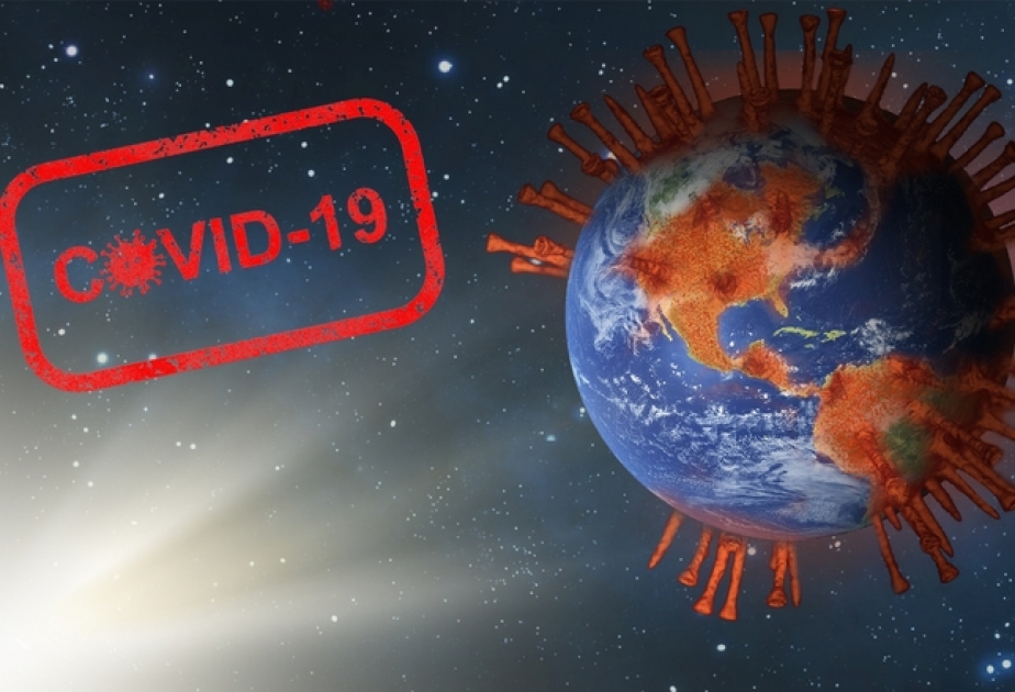 ВОЗ: Мир вышел на плато по заболеваемости COVID-19