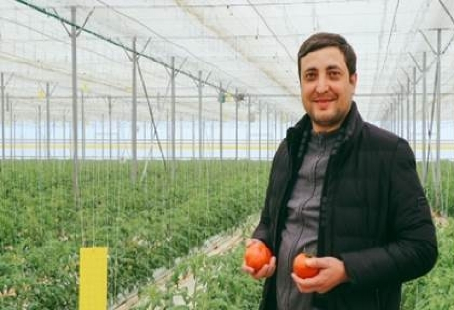 ФАО: Фрукты и овощи – суперсила азербайджанских героев продовольственного фронта