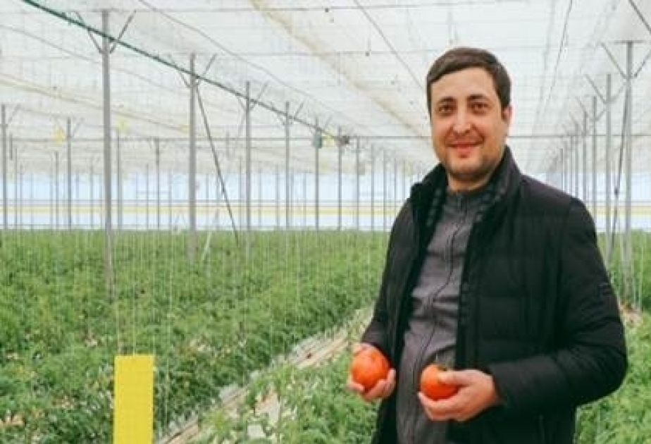 FAO: Las frutas y verduras son la superpotencia de los héroes del frente alimentario de Azerbaiyán