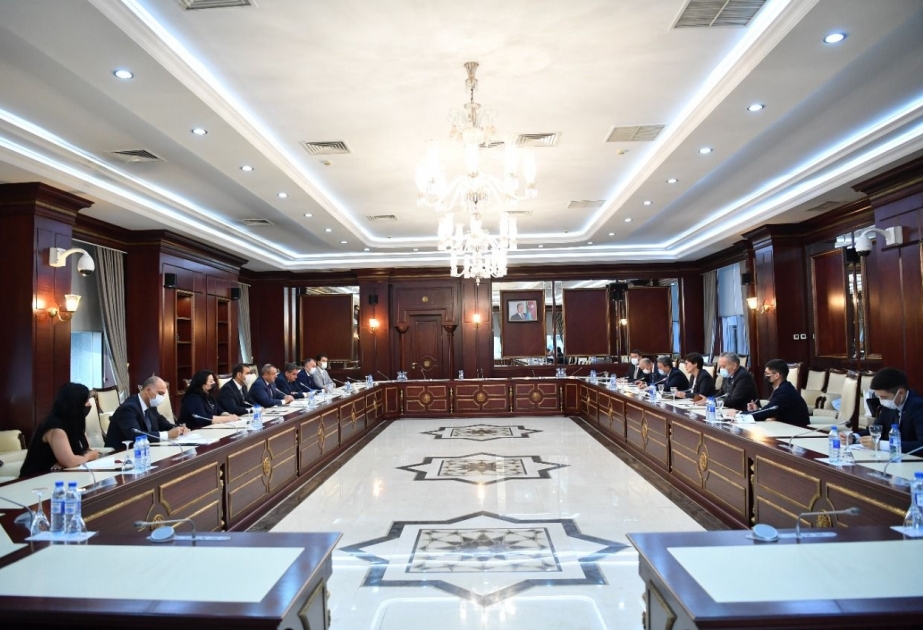 Qazaxıstan Parlamenti Məclisinin komitə sədri Milli Məclisdə olub