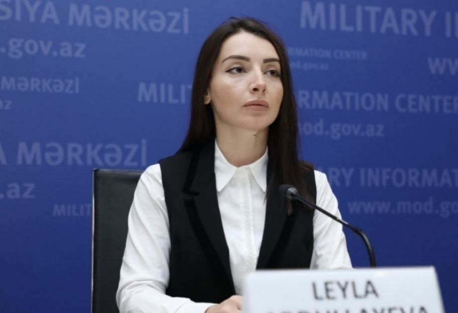 Cancillería: "Azerbaiyán incoará una demanda judicial ante un tribunal internacional contra Armenia"