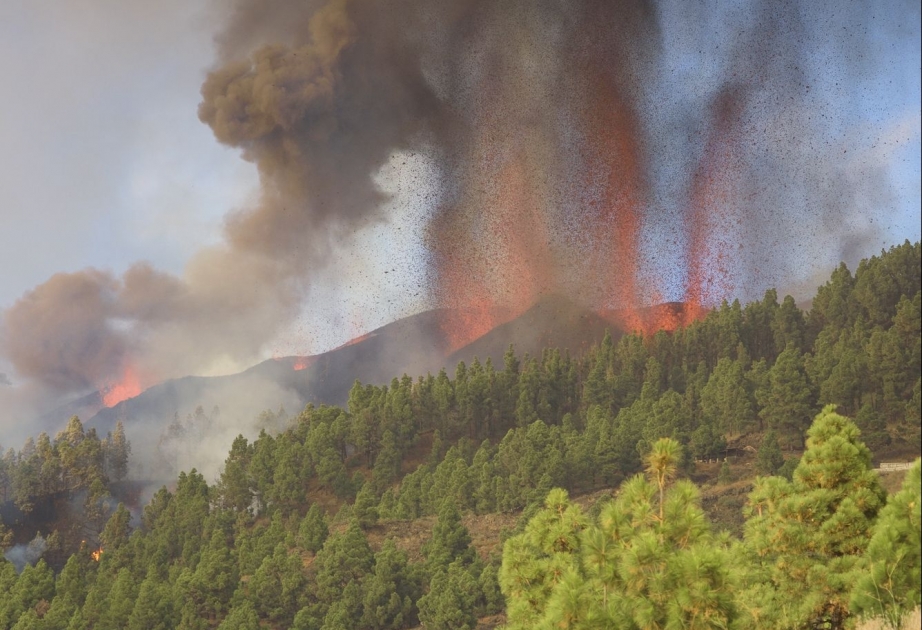 Потоки лавы вулкана Кумбре-Вьеха разрушают на своем пути дома и посевы