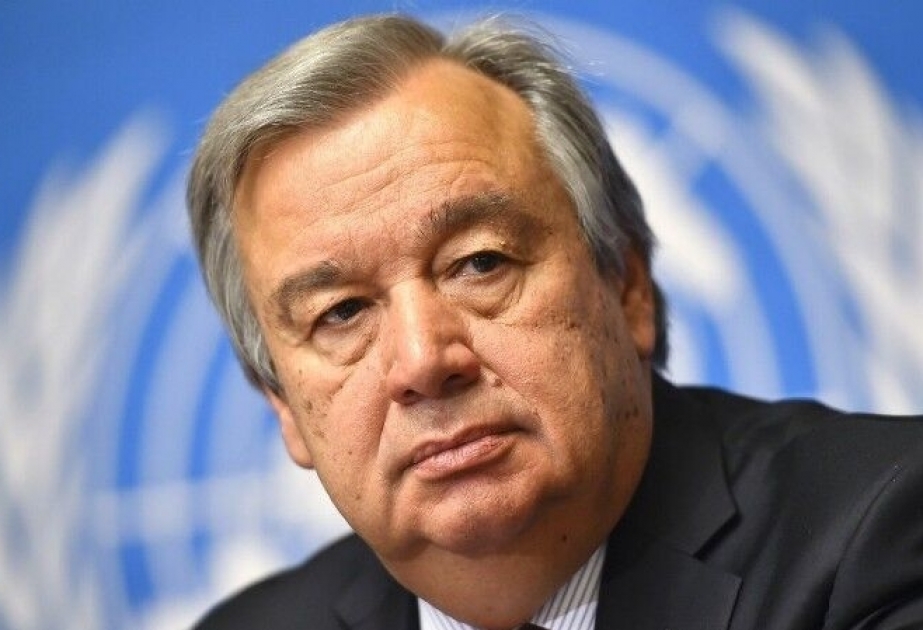 В Международный день мира генсек ООН призвал к 24-часовому прекращению огня