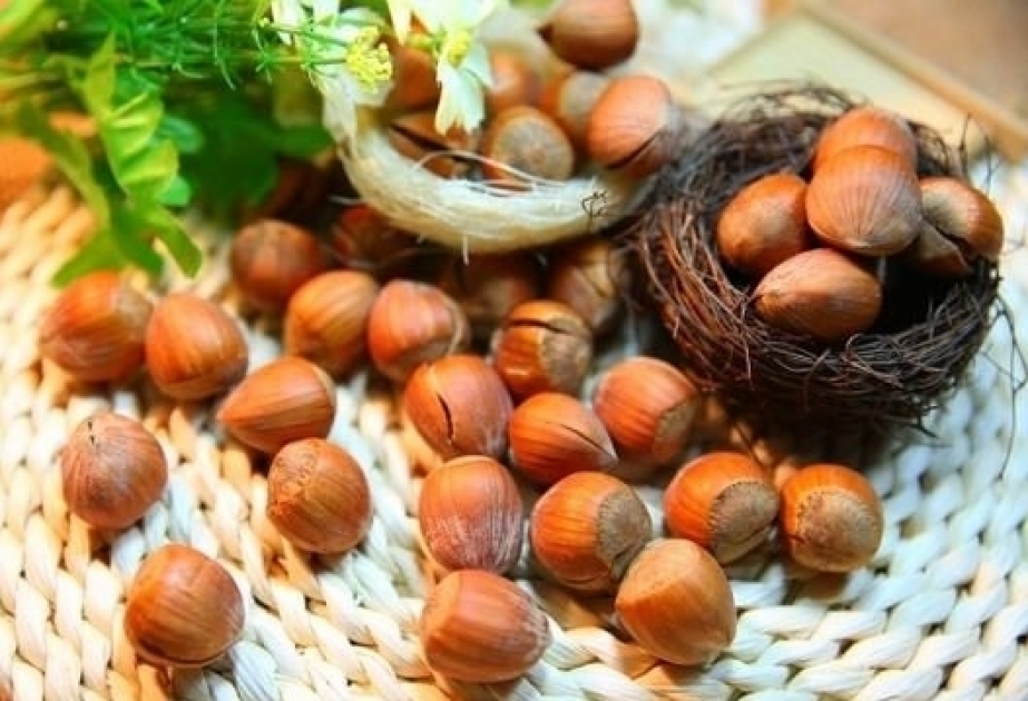 Les exportations azerbaïdjanaises de noisettes ont connu une diminution