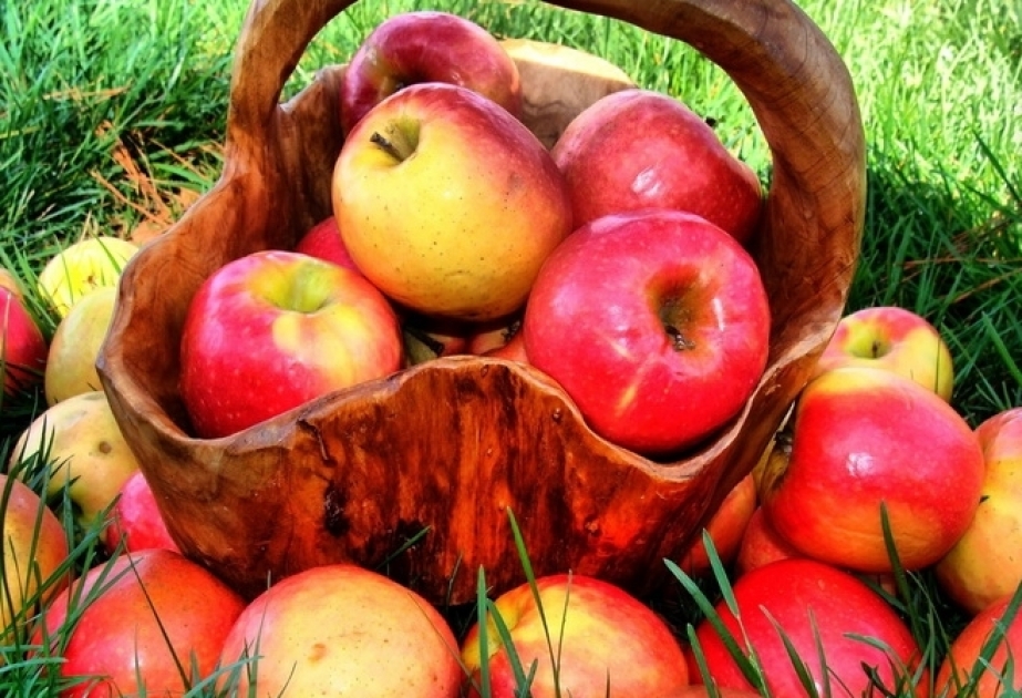 L'Azerbaïdjan a légèrement accru ses exportations de pommes