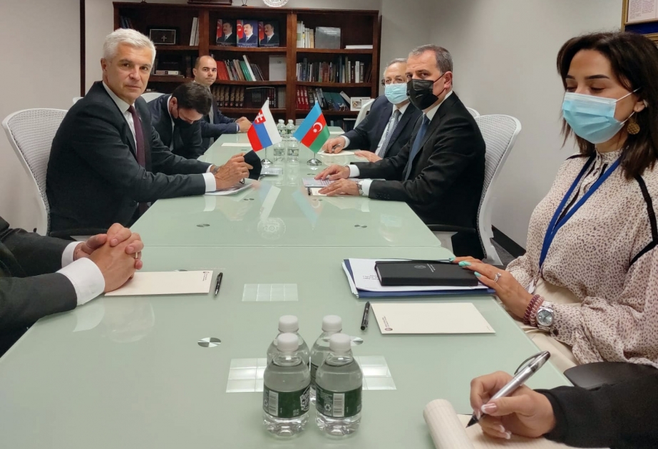 Ceyhun Bayramov slovakiyalı həmkarına Ermənistanın işğalçı siyasətinin ağır nəticələri barədə məlumat verib