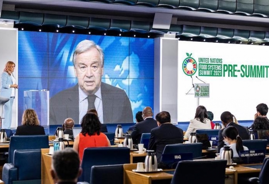 В Нью-Йорке прошел Саммит по продовольственным системам в рамках 76-ой сессии Генассамблеи ООН